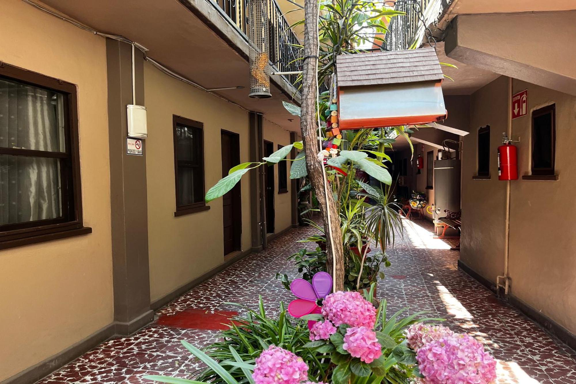 Oyo Hotel Linda Tijuana Exteriör bild